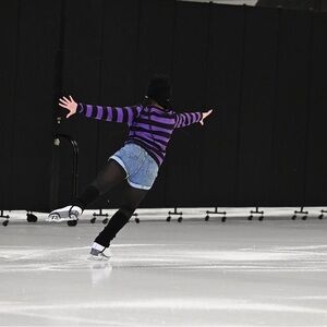 Purple and Black Striped Long Sleeve Shirt